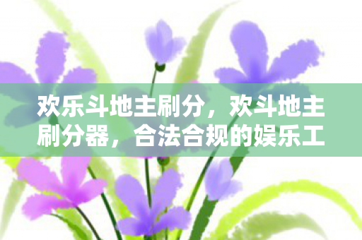 欢乐斗地主刷分，欢斗地主刷分器，合法合规的娱乐工具