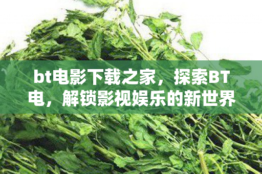 bt电影下载之家，探索BT电，解锁影视娱乐的新世界