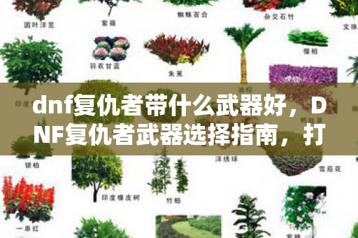 dnf复仇者带什么武器好，DNF复仇者武器选择指南，打造最强战斗力的关键