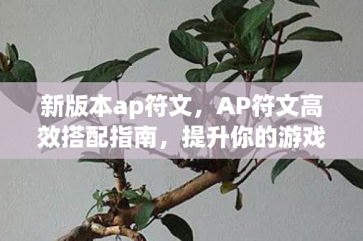 新版本ap符文，AP符文高效搭配指南，提升你的游戏实力