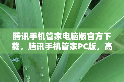 腾讯手机管家电脑版官方下载，腾讯手机管家PC版，高效管理手机，打造智能生活