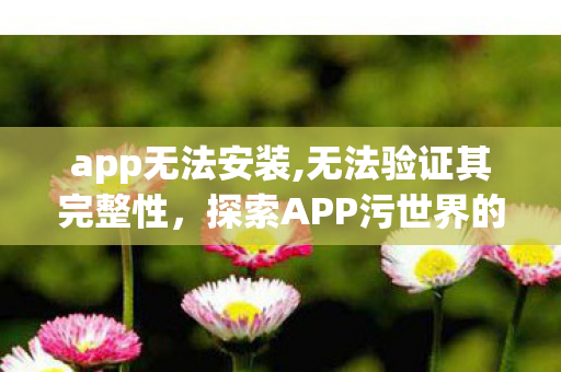 app无法安装,无法验证其完整性，探索APP污世界的奇妙之旅