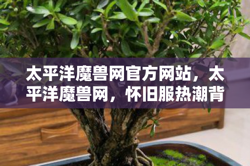 太平洋魔兽网官方网站，太平洋魔兽网，怀旧服热潮背后的经典与情怀