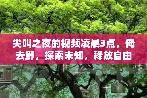 尖叫之夜的视频凌晨3点，俺去野，探索未知，释放自由的游戏之旅