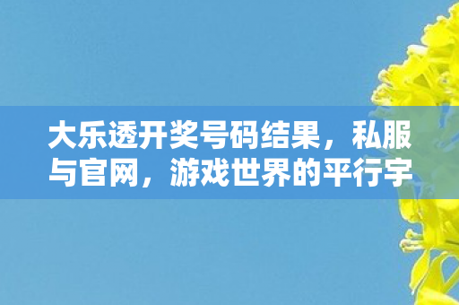 大乐透开奖号码结果，私服与官网，游戏世界的平行宇宙