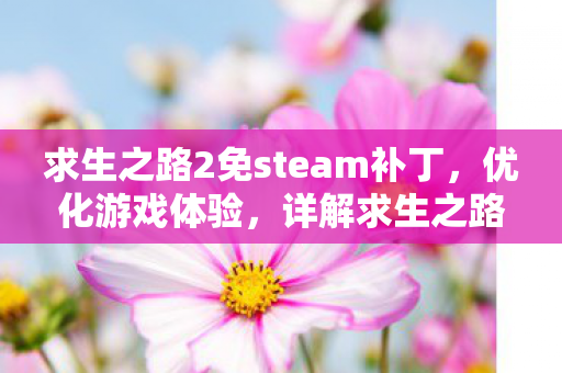 求生之路2免steam补丁，优化游戏体验，详解求生之路2Steam补丁的正确使用