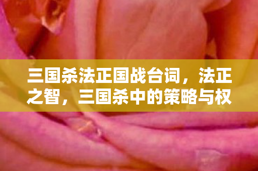 三国杀法正国战台词，法正之智，三国杀中的策略与权谋