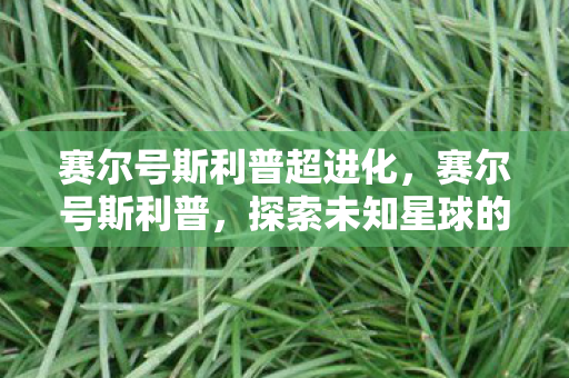 赛尔号斯利普超进化,赛尔号斯利普,探索未知星球的奇妙之旅 赛尔号斯利普超进化,赛尔号斯利普,探索未知星球的奇妙之旅