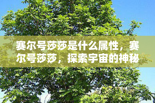 赛尔号莎莎是什么属性，赛尔号莎莎，探索宇宙的神秘之旅