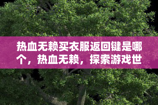 热血无赖买衣服返回键是哪个，热血无赖，探索游戏世界的无限可能