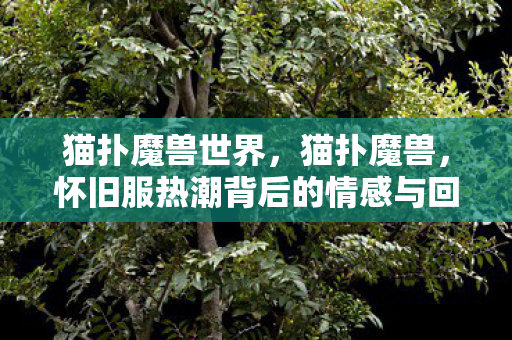 猫扑魔兽世界，猫扑魔兽，怀旧服热潮背后的情感与回忆