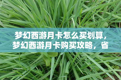 梦幻西游月卡怎么买划算，梦幻西游月卡购买攻略，省钱又省心