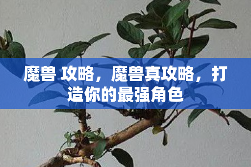 魔兽 攻略，魔兽真攻略，打造你的最强角色