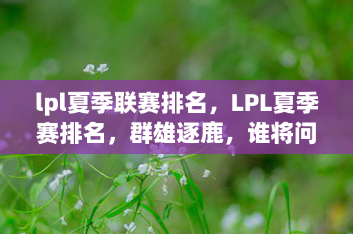 lpl夏季联赛排名，LPL夏季赛排名，群雄逐鹿，谁将问鼎？