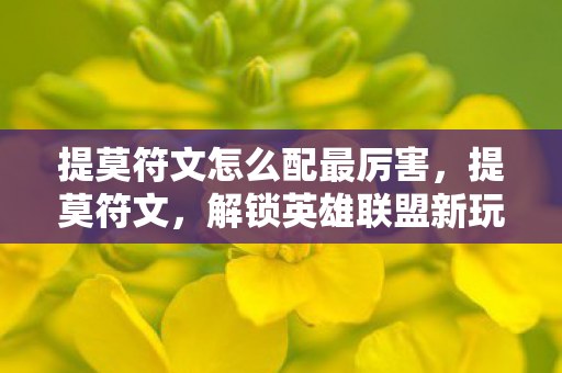 提莫符文怎么配最厉害，提莫符文，解锁英雄联盟新玩法