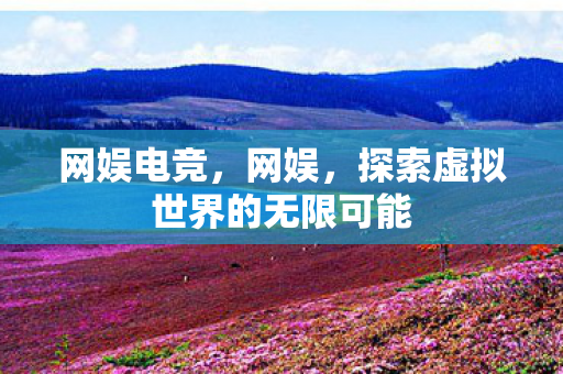 网娱电竞，网娱，探索虚拟世界的无限可能