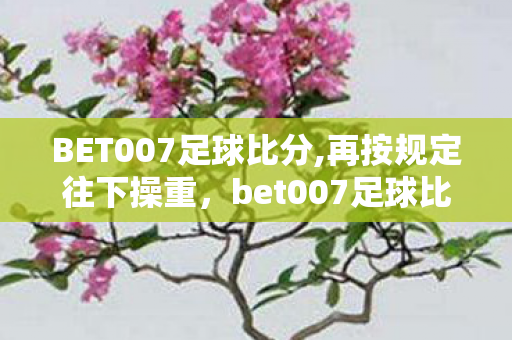BET007足球比分,再按规定往下操重，bet007足球比分，深度解析足球赛事的必备工具