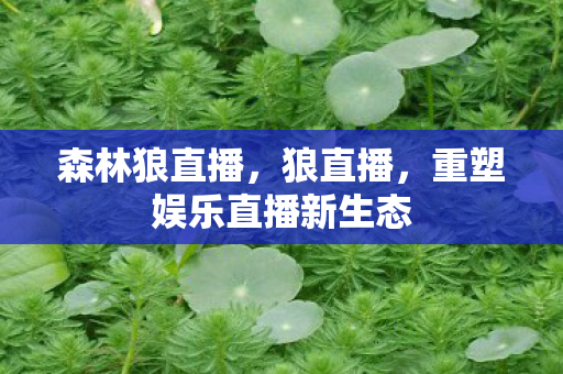 森林狼直播，狼直播，重塑娱乐直播新生态