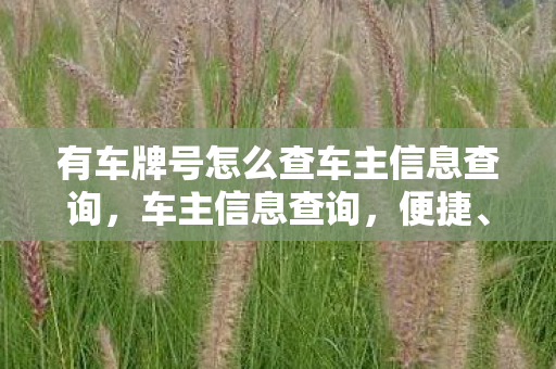 有车牌号怎么查车主信息查询，车主信息查询，便捷、安全、高效的车辆信息获取方式
