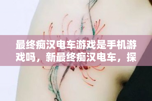 最终痴汉电车游戏是手机游戏吗，新最终痴汉电车，探索未知世界的奇妙之旅