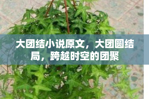 大团结小说原文，大团圆结局，跨越时空的团聚