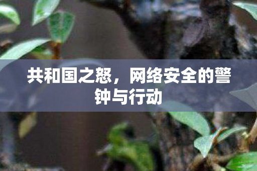 共和国之怒，网络安全的警钟与行动