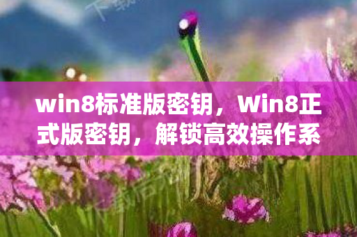 win8标准版密钥，Win8正式版密钥，解锁高效操作系统的关键
