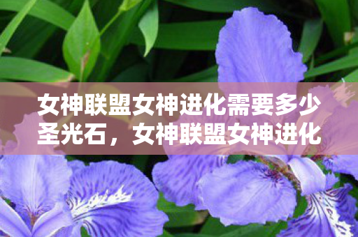 女神联盟女神进化需要多少圣光石，女神联盟女神进化，探索女神的无限可能