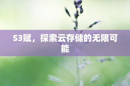 S3赋，探索云存储的无限可能