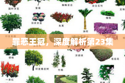 罪恶王冠，深度解析第23集