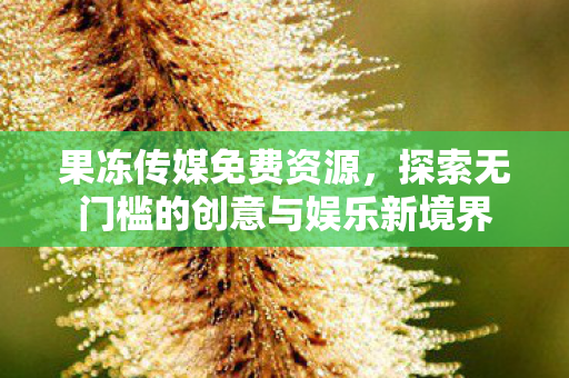 果冻传媒免费资源，探索无门槛的创意与娱乐新境界