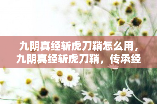 九阴真经斩虎刀鞘怎么用，九阴真经斩虎刀鞘，传承经典，匠心独运