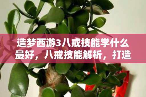 造梦西游3八戒技能学什么最好，八戒技能解析，打造造梦西游3中的肉盾强者