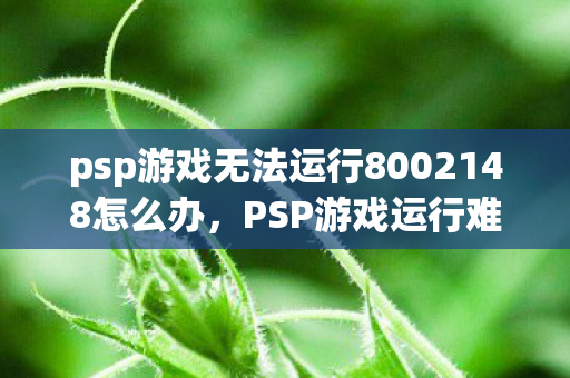 psp游戏无法运行8002148怎么办，PSP游戏运行难题解析，80020148错误代码