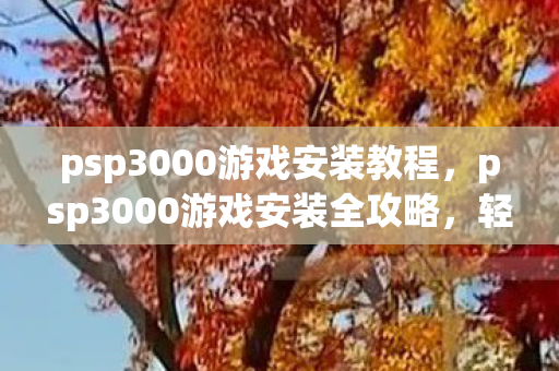 psp3000游戏安装教程，psp3000游戏安装全攻略，轻松玩转经典游戏