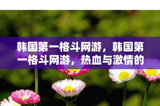 韩国第一格斗网游，韩国第一格斗网游，热血与激情的碰撞