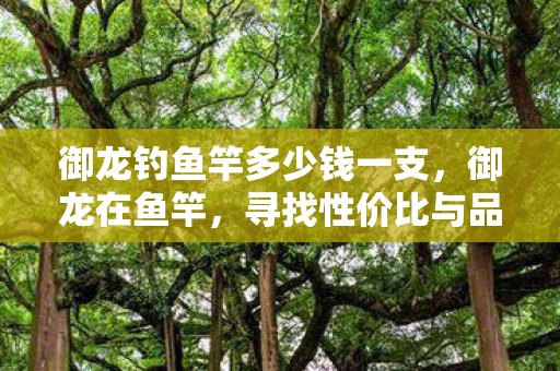御龙钓鱼竿多少钱一支，御龙在鱼竿，寻找性价比与品质并重的购买渠道