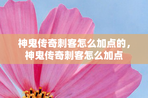 神鬼传奇刺客怎么加点的，神鬼传奇刺客怎么加点