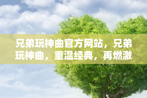 兄弟玩神曲官方网站，兄弟玩神曲，重温经典，再燃激情