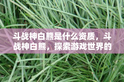 斗战神白熊是什么资质，斗战神白熊，探索游戏世界的奇妙之旅