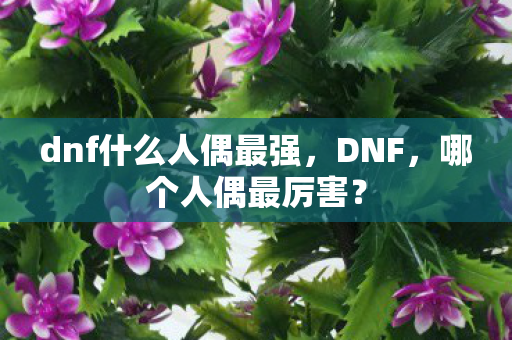 dnf什么人偶最强，DNF，哪个人偶最厉害？