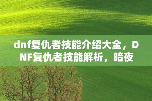 dnf复仇者技能介绍大全，DNF复仇者技能解析，暗夜中的复仇火焰