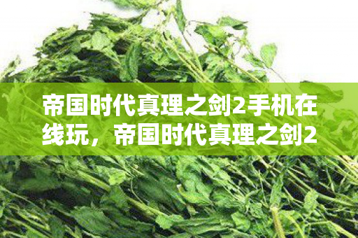 帝国时代真理之剑2手机在线玩，帝国时代真理之剑2，探索策略游戏的深度与广度