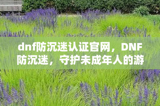 dnf防沉迷认证官网，DNF防沉迷，守护未成年人的游戏健康