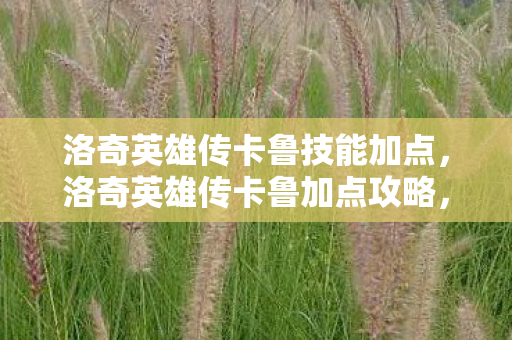 洛奇英雄传卡鲁技能加点，洛奇英雄传卡鲁加点攻略，打造最强战斗力的关键