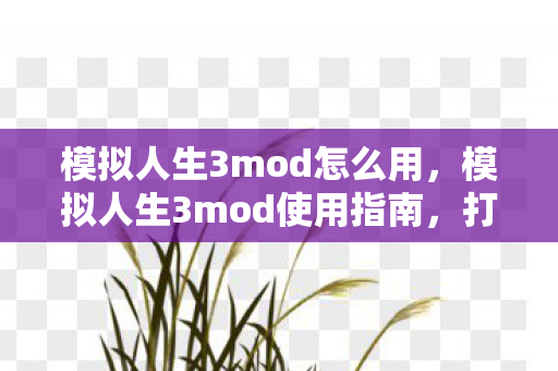 模拟人生3mod怎么用，模拟人生3mod使用指南，打造个性化游戏世界