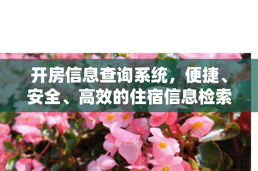 开房信息查询系统,便捷、安全、高效的住宿信息检索工具 开房信息查询系统,便捷、安全、高效的住宿信息检索工具