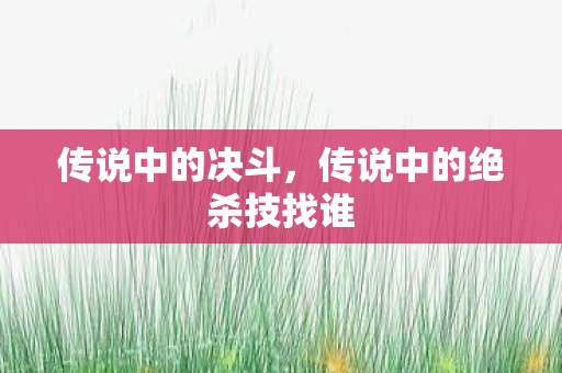 传说中的决斗，传说中的绝杀技找谁