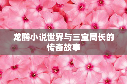 龙腾小说世界与三宝局长的传奇故事