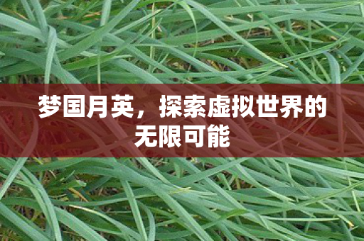 梦国月英,探索虚拟世界的无限可能 梦国月英,探索虚拟世界的无限可能